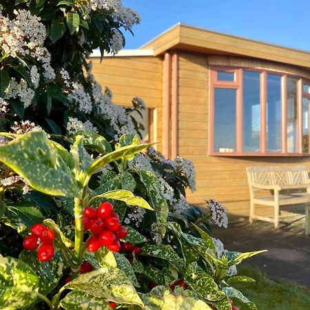 3 Pers. Holiday Home Sonnenschein With Fenced Garden And Infrared Sauna Anjum Esterno foto