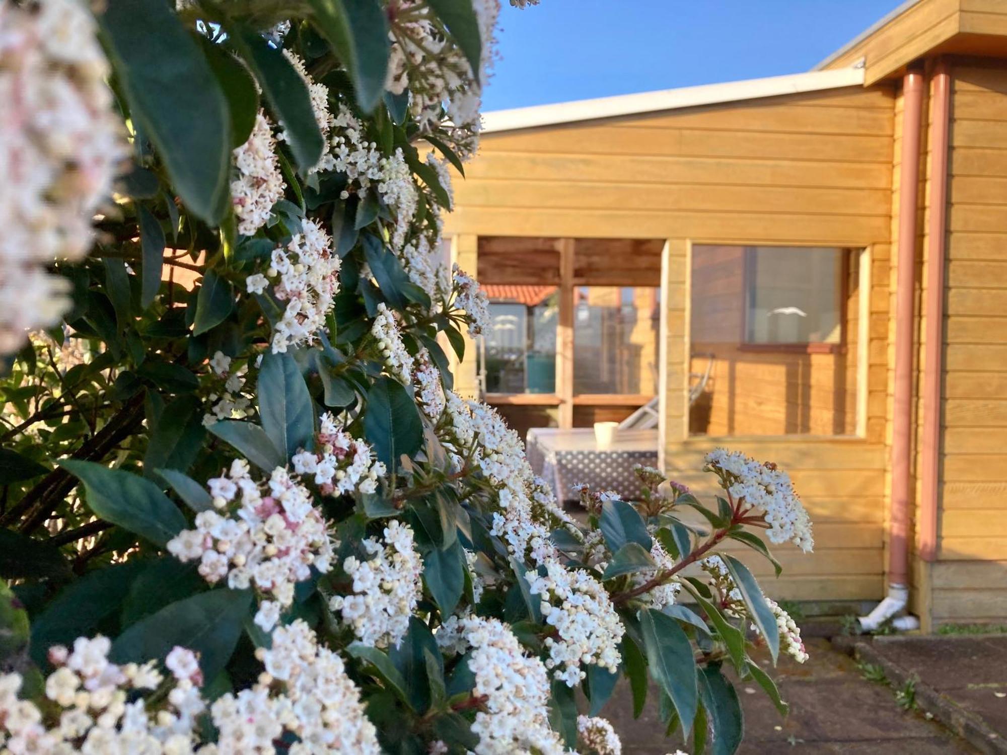 3 Pers. Holiday Home Sonnenschein With Fenced Garden And Infrared Sauna Anjum Esterno foto